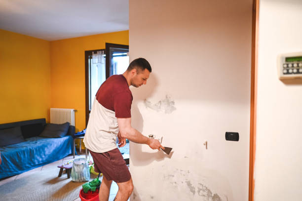 Best Commercial Mold Removal  in Lovelock, NV
